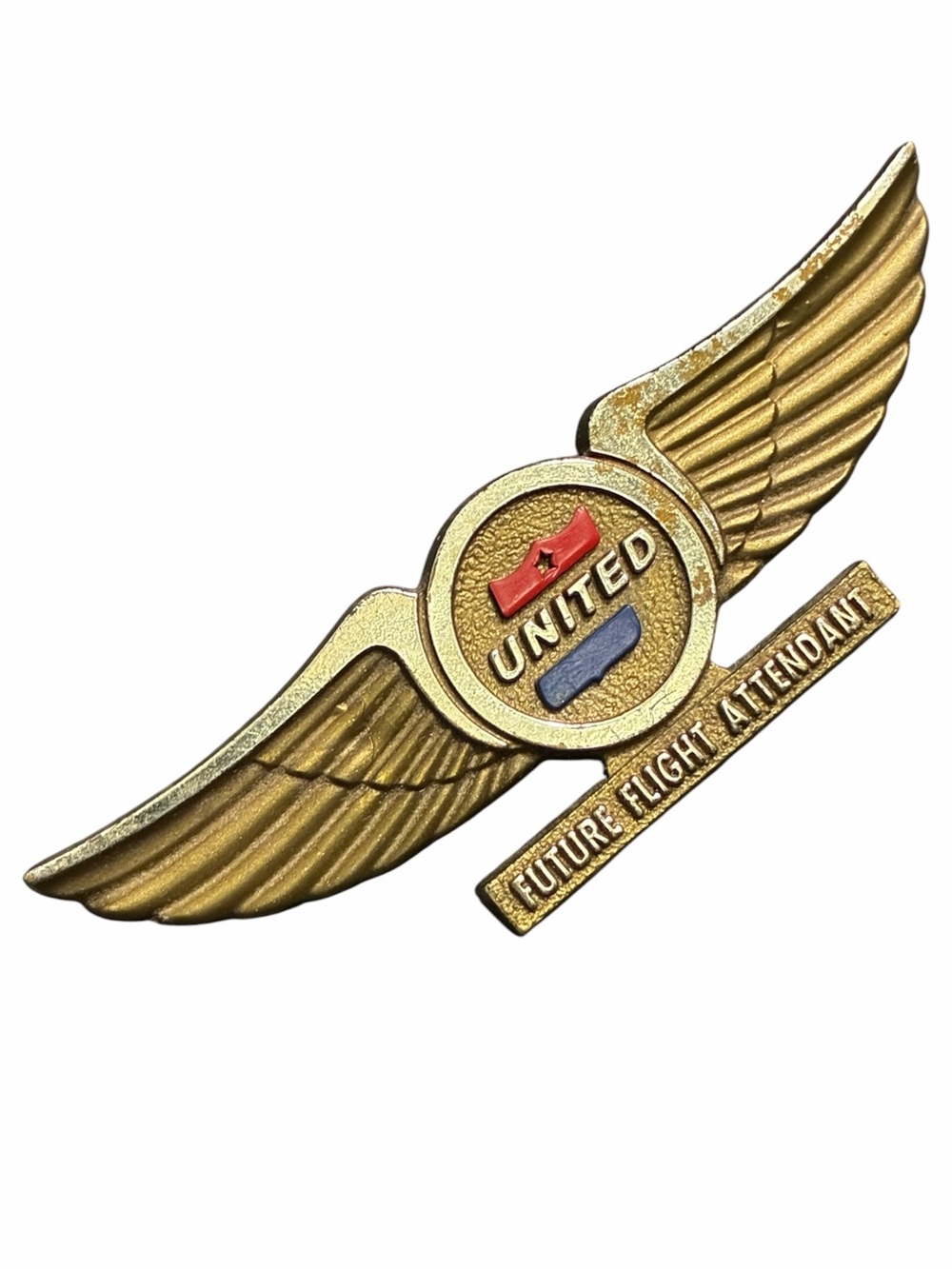 Vintage Gold Wing Pin - Future Flight Attendant